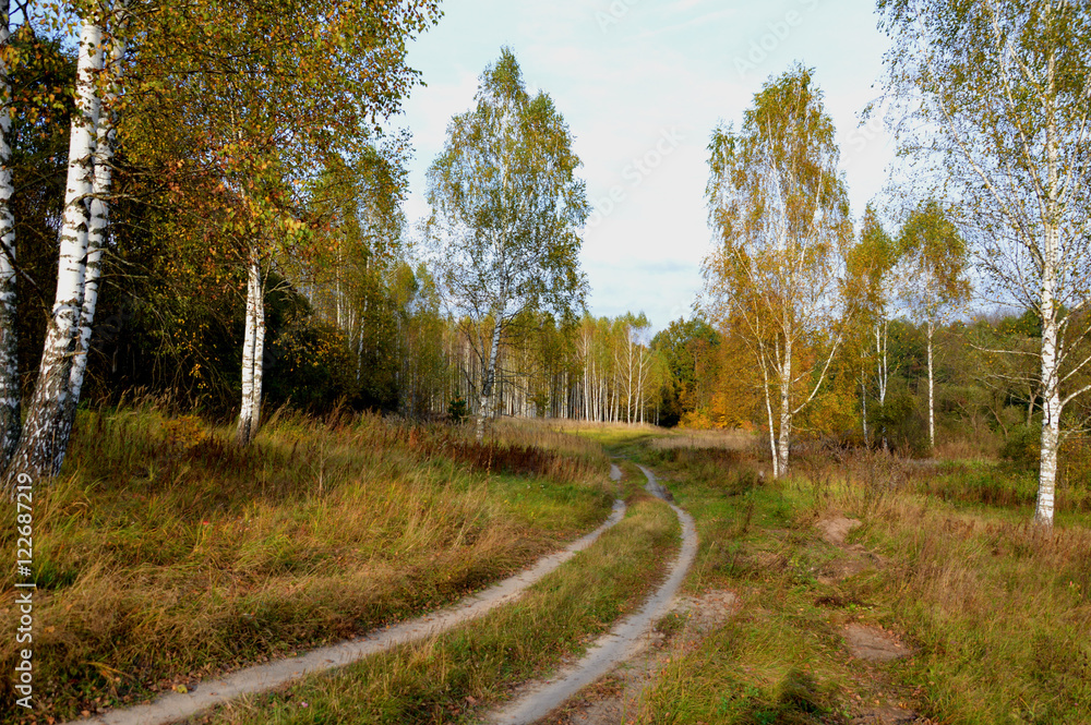 Fototapeta premium Брянская осень.Октябрь