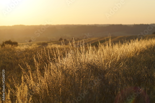 Zachód słońca na polach, złociste trawy na miedzy i łany zbóż