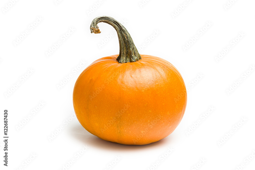 Obraz premium Fresh orange pumpkin on white background
