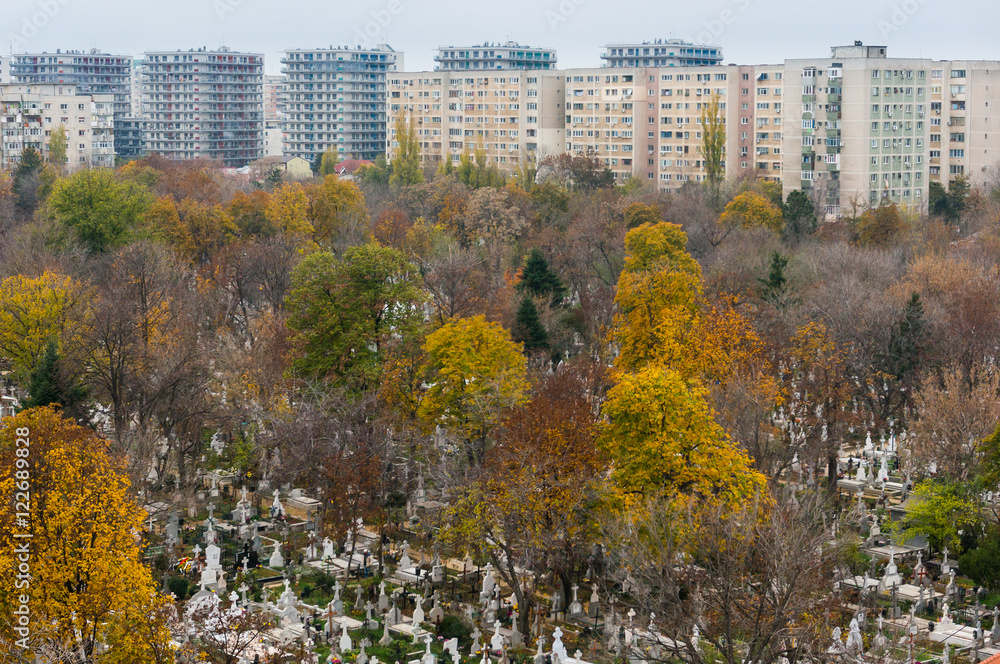 Obraz premium Cemetery with urban skyline