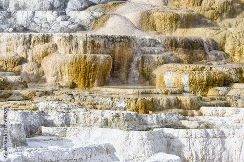 Mammoth Hot Springs, Yellowstone National Park