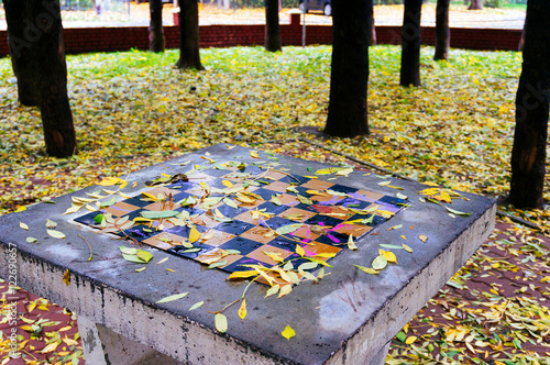 Leaf covered chess board photo