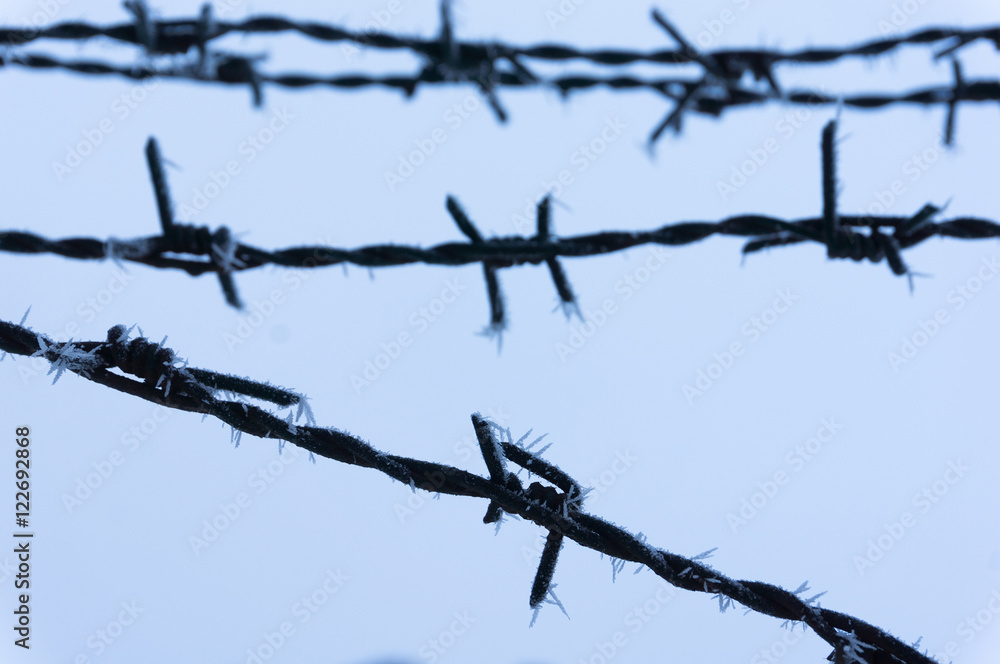 Frost on barbed wire Frost on barbed wire