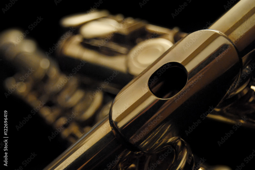 Naklejka premium classical flute with dark background