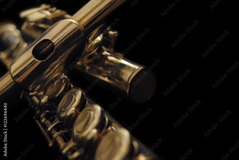 Naklejka premium classical flute with dark background