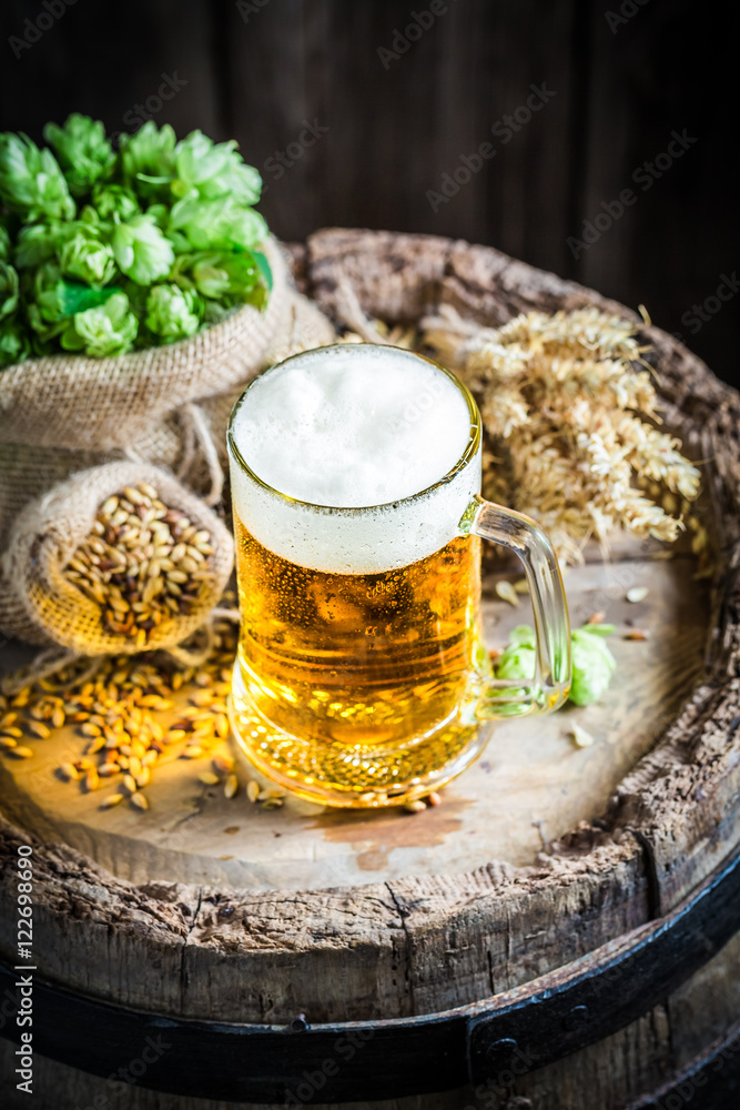 Cold light beer with foam, hops and wheat Cold light beer with foam, hops and wheat
