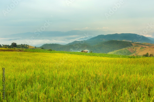 Rice terraces © thisisdraft