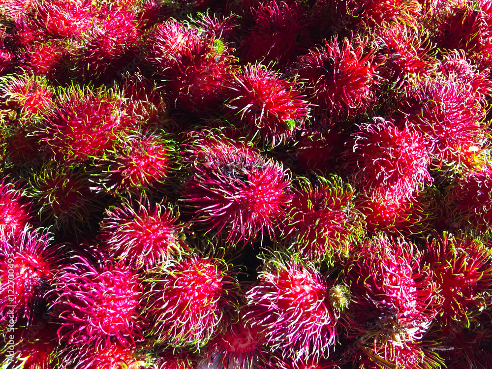 Rambutan. Rambutan.