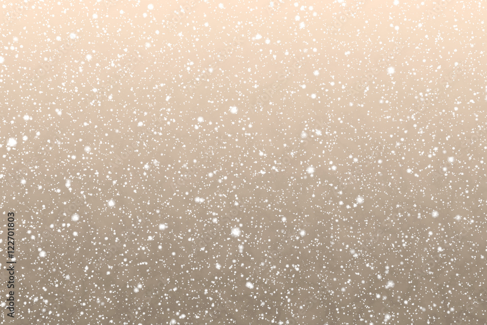 Winter White Snow Winter White Snow