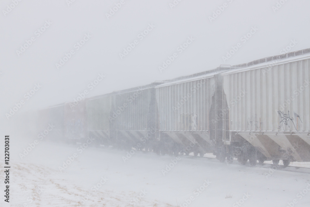Grain Train in Blowing Snow