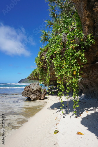 Sea shore with small sandy beach and creeping plant hang down from the rocks, Rurutu island, south Pacific ocean, Austral archipelago, French Polynesia photo