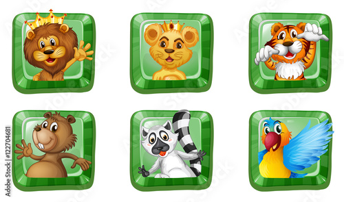 Wild animals on square buttons
