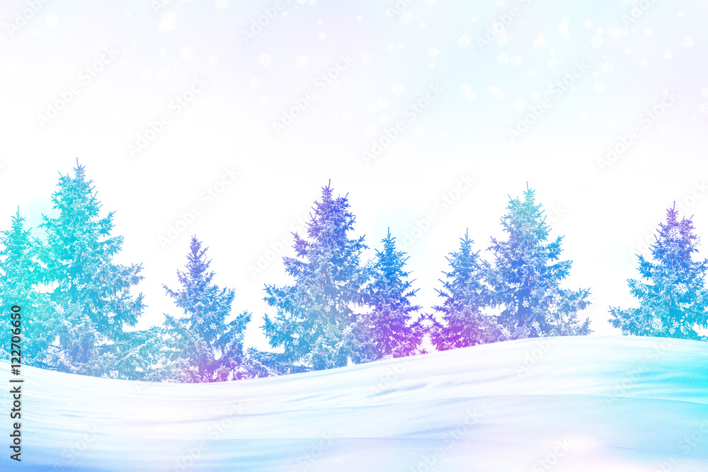 forest in the frost. Winter landscape. Snow covered trees. forest in the frost. Winter landscape. Snow covered trees.