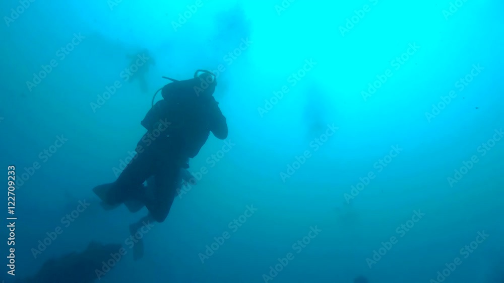 Scuba Divers Performing A Safety Stop Scuba Divers Performing A Safety Stop