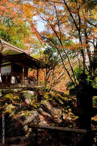 滋賀 石山寺の紅葉
