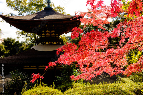 滋賀　石山寺の紅葉