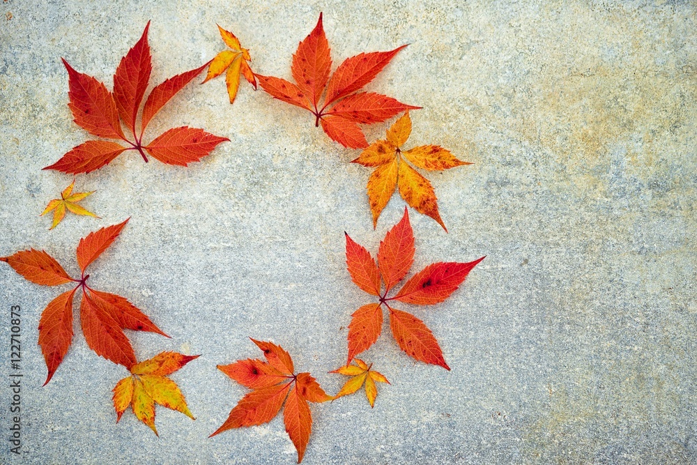 wreath of autumn grape leaves on a neutral grey background with copy space for the inscription in the center and in the side wreath of autumn grape leaves on a neutral grey background with copy space for the inscription in the center and in the side