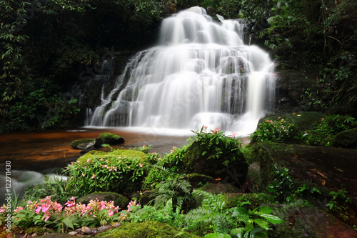 Fototapeta Naklejka Na Ścianę i Meble -  Mandang waterfall in Thailand,With pink flowers near the waterfall.