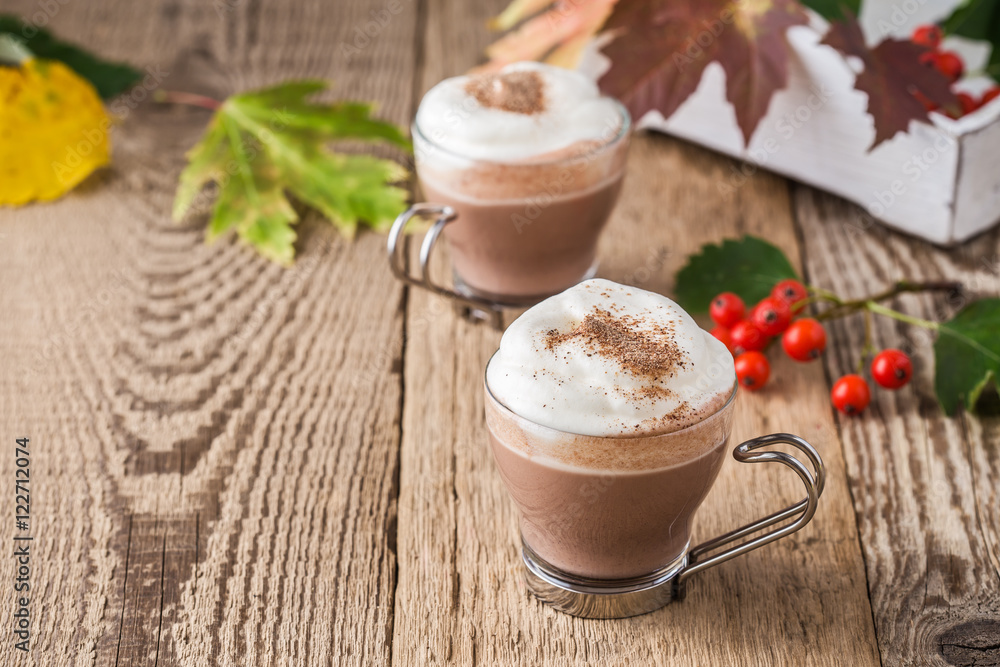 Homemade cinnamon and spice hot cocoa with whipped cream Homemade cinnamon and spice hot cocoa with whipped cream