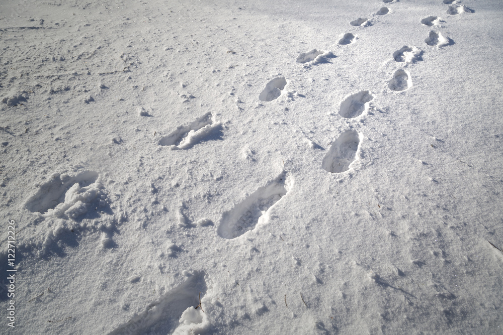 Shoe prints in fresh deep snow on snowy meadow at sunny day. Shoe prints in fresh deep snow on snowy meadow at sunny day.