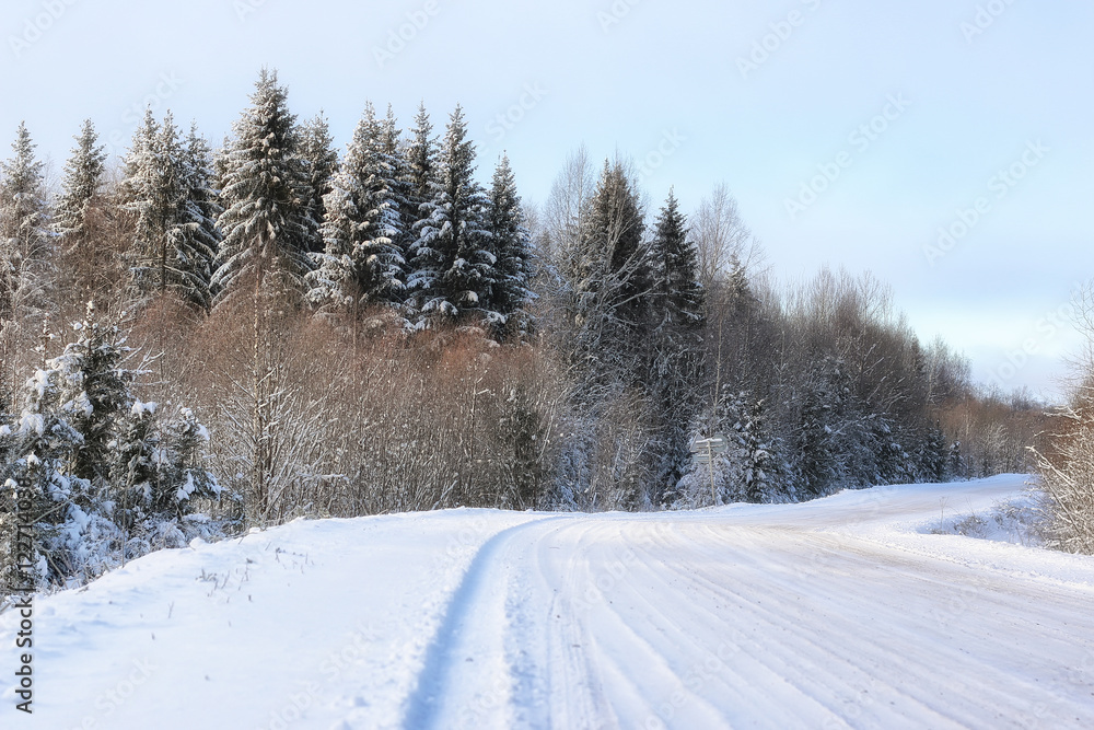 winter road landscape sunlight snow winter road landscape sunlight snow