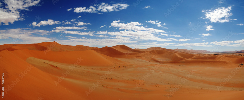 Naklejka premium Landscape with sand dunes near Swakopmund, Namibia