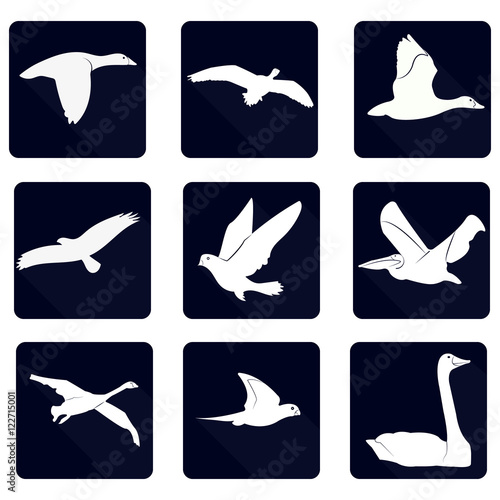 bird Vector Silhouette