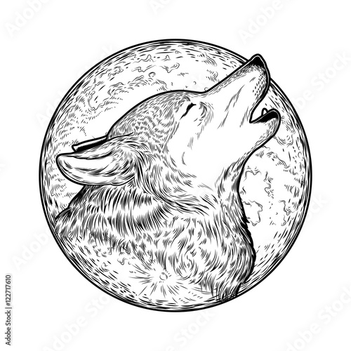Vector illustration of a howling wolf