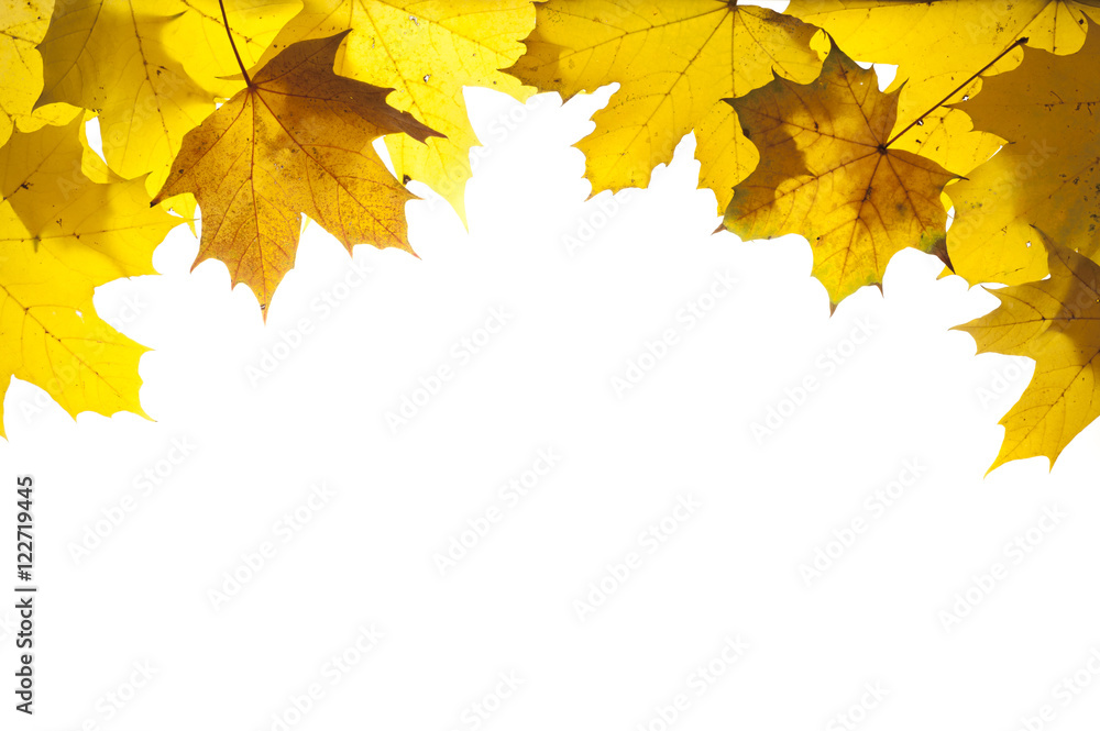 Herbst und Herbstlaub mit Blätter als Rahmen