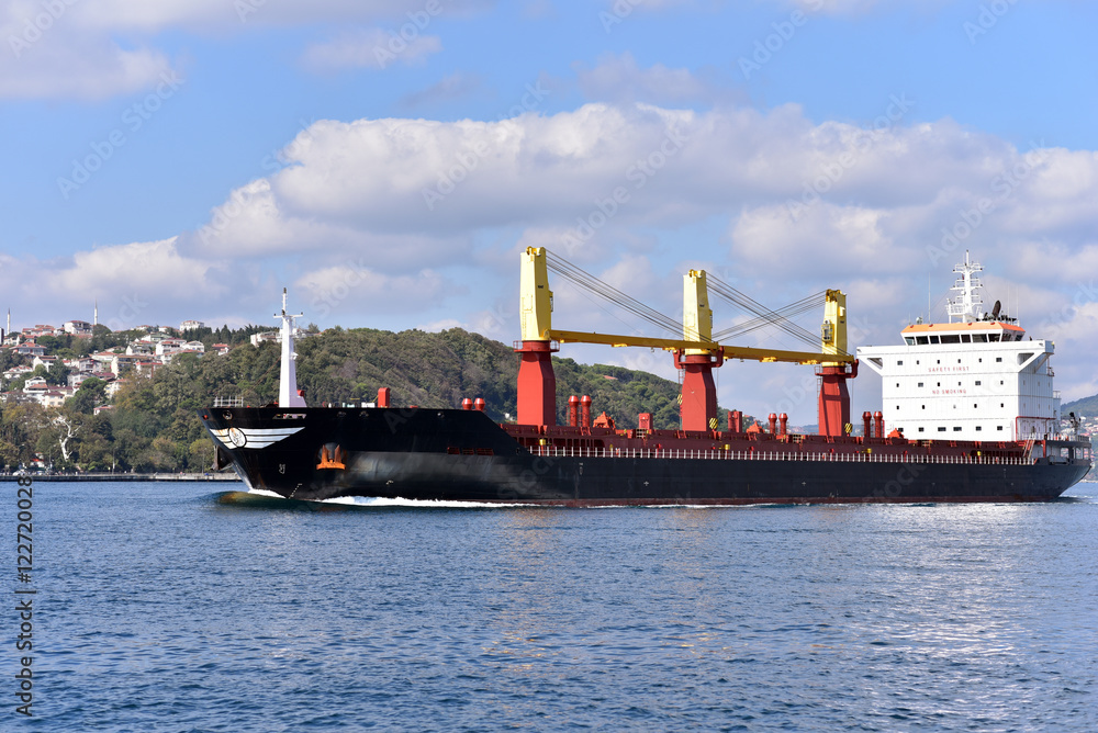 A container ship in Bosphorus Strait is moving from Black Sea to Marmara Sea