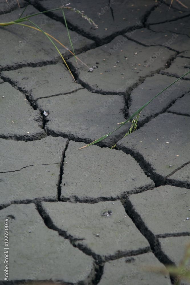 Obraz premium ひび割れた農地