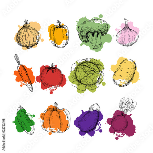 Collection of hand-drawn vegetables,