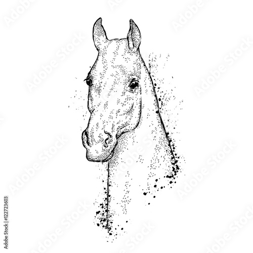 Beautiful horse with a triangle. Vector illustration for greeting card, poster, or print on clothes. Fashion & Style. Hipster. Hand drawing.