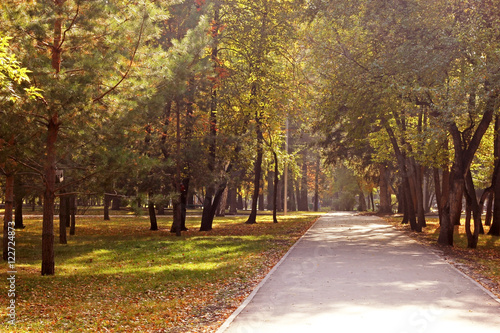 Autumn Park