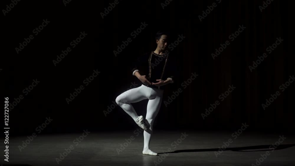 Young Asian Ballet Dancer Posing Young Asian Ballet Dancer Posing