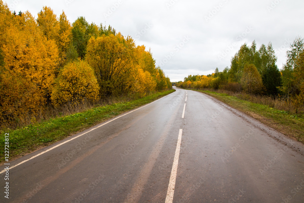 Road and yellow trees in autumn day
