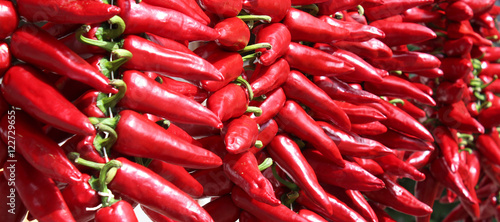 Piments d'Espelette / Espelette pepper (Capsicum annuum) photo