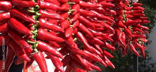 Piments d'Espelette photo