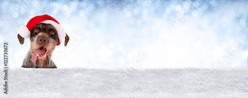 Banner mit Schnee, Himmel und Hundekopf mit Nikolausmütze © grafikplusfoto