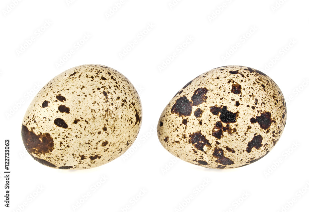 Quail eggs on a white background Quail eggs on a white background