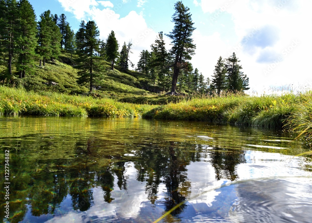 Fototapeta premium lake forest