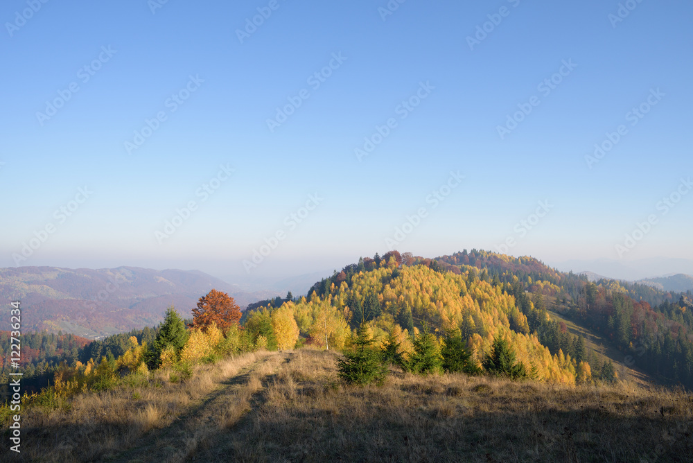 Autumn landscape with a road in the dry grass