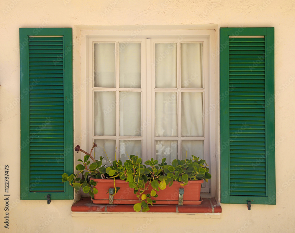 rustic window with old green shutters and flower pot