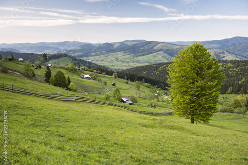 Bukovina Region (Bucovina) landscape at Paltinu, Romania photo
