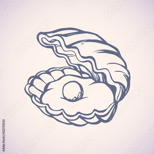 Pearl in shell. Vector drawing