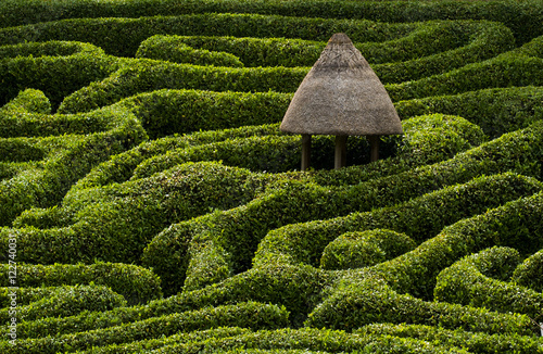 A maze in Glendurgan Garden on the Lizard peninsula in Cornwall photo