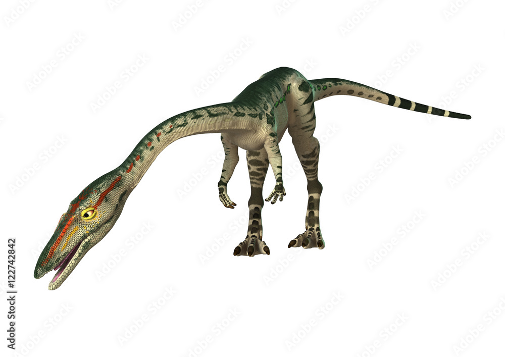 3D Rendering Dinosaur Coelophysis on White 3D Rendering Dinosaur Coelophysis on White