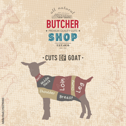 Cuts of goat. Butcher shop retro poster