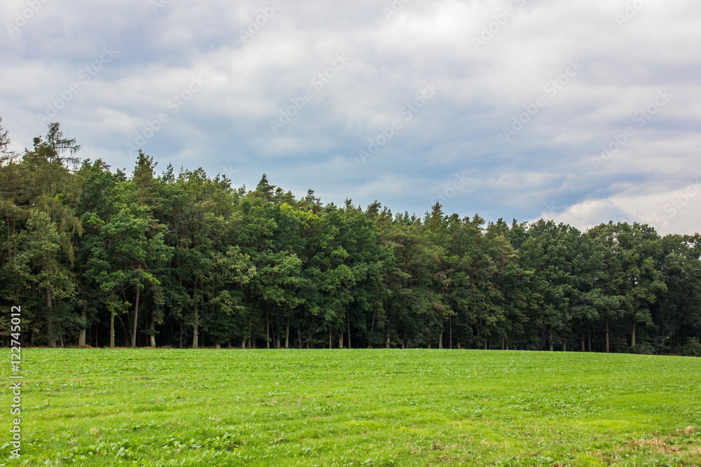 Obraz premium Autumn field