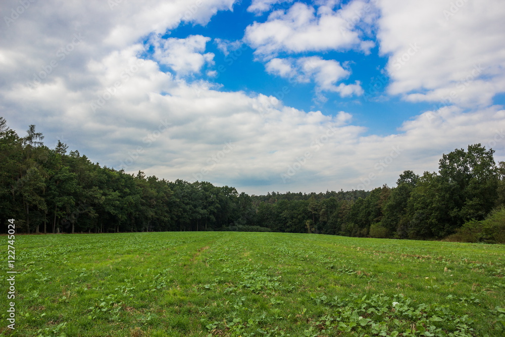 Autumn field Autumn field